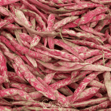 Load image into Gallery viewer, Bean, French Horticulture