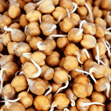 Load image into Gallery viewer, Bean, Garbanzo (Chickpea)