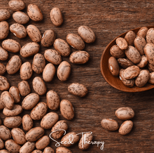 Load image into Gallery viewer, Bean, Pinto