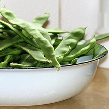 Load image into Gallery viewer, Bean, Romano Bush