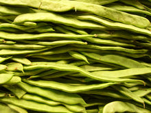 Load image into Gallery viewer, Bean, Romano Bush