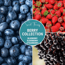 Load image into Gallery viewer, Berry Seed Collection