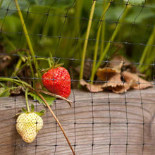 Load image into Gallery viewer, Bird &amp; Pond Netting (28' X 28')
