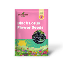 Load image into Gallery viewer, Lotus, Premium Black Seeds