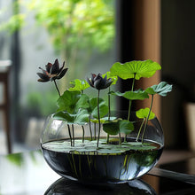 Load image into Gallery viewer, Lotus, Premium Black Seeds