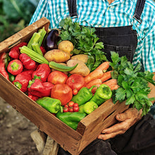 Load image into Gallery viewer, Tomato &amp; Vegetable Plant Food 8-4-8 - Organic