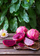 Load image into Gallery viewer, Dragon Fruit, Red Tricia