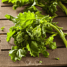 Load image into Gallery viewer, Broccoli, Rapini Raab