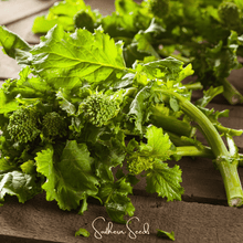 Load image into Gallery viewer, Broccoli, Rapini Raab