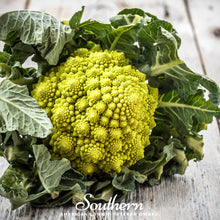 Load image into Gallery viewer, Broccoli, Romanesco