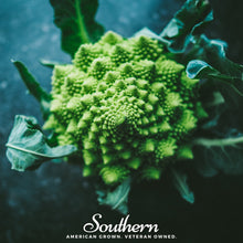 Load image into Gallery viewer, Broccoli, Romanesco