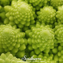 Load image into Gallery viewer, Broccoli, Romanesco