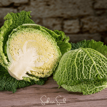Load image into Gallery viewer, Cabbage, Savoy