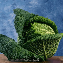 Load image into Gallery viewer, Cabbage, Savoy
