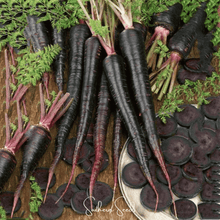 Load image into Gallery viewer, Carrot, Black Nebula