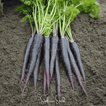 Load image into Gallery viewer, Carrot, Black Nebula
