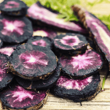 Load image into Gallery viewer, Carrot, Black Nebula