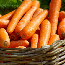 Load image into Gallery viewer, Carrot,  Scarlet Nantes