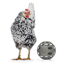 Load image into Gallery viewer, Chicken Snack Ball – 100% Recycled, Foraging &amp; Play Feeder