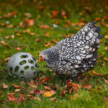 Load image into Gallery viewer, Chicken Snack Ball – 100% Recycled, Foraging &amp; Play Feeder