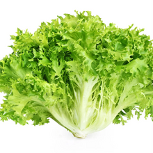 Load image into Gallery viewer, Chicory, Salad King Endive