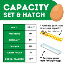 Load image into Gallery viewer, CT120 SH - Egg Incubator - Setter &amp; Hatcher