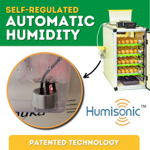 Load image into Gallery viewer, CT120 H - Egg Hatcher Only - Automatic Poultry Hatching Machine