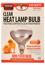 Load image into Gallery viewer, Clamp-On Brooder Heat Lamp