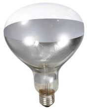 Load image into Gallery viewer, Clamp-On Brooder Heat Lamp