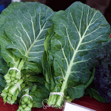 Load image into Gallery viewer, Collard Greens, Georgia