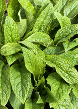 Load image into Gallery viewer, Comfrey