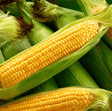 Load image into Gallery viewer, Corn, Kandy Korn