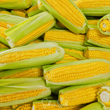 Load image into Gallery viewer, Corn, Kandy Korn