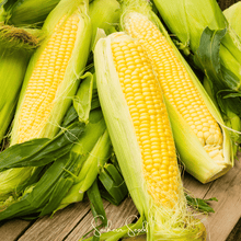Load image into Gallery viewer, Corn, Kandy Korn