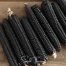 Load image into Gallery viewer, Corn, Morado Montana Maize