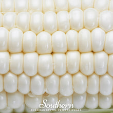 Load image into Gallery viewer, Corn, Stowells Evergreen Sweet