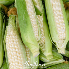 Load image into Gallery viewer, Corn, Stowells Evergreen Sweet