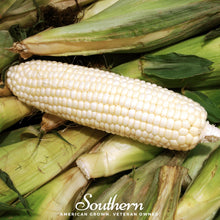 Load image into Gallery viewer, Corn, Stowells Evergreen Sweet