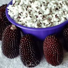 Load image into Gallery viewer, Corn, Strawberry