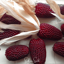Load image into Gallery viewer, Corn, Strawberry