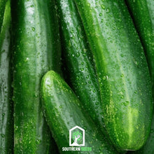 Load image into Gallery viewer, Cucumber, Beit Alpha