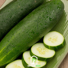 Load image into Gallery viewer, Cucumber, Beit Alpha
