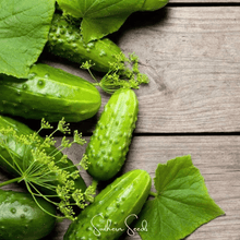 Load image into Gallery viewer, Cucumber, H-19 Little Leaf