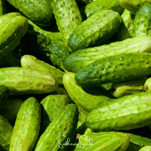 Load image into Gallery viewer, Cucumber, H-19 Little Leaf