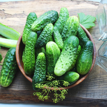 Load image into Gallery viewer, Cucumber, National Pickling