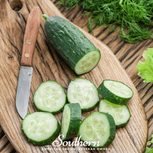 Load image into Gallery viewer, Cucumber, Spacemaster