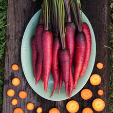 Load image into Gallery viewer, Carrot, Dragon - Organic