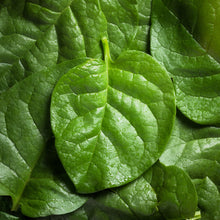Load image into Gallery viewer, Spinach, Malabar