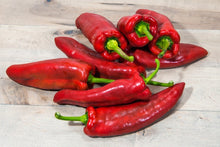 Load image into Gallery viewer, Pepper, Marconi Red