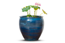 Load image into Gallery viewer, Lotus, Bowl